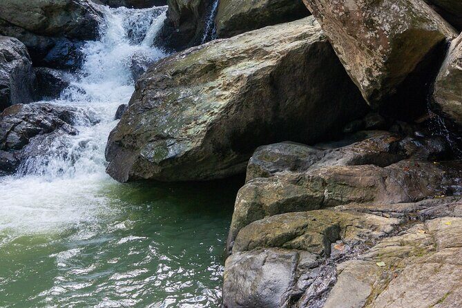 Yunque & Piñones Tour Hike Eat & Adventure with a Local; San Juan - Piñones Beach Time Plus Abuelita-Style Food