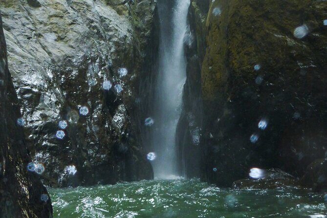 Yunque & Piñones Tour Hike Eat & Adventure with a Local; San Juan - Logistics That Actually Affect Your Day: Start Point, Timing, Group Size