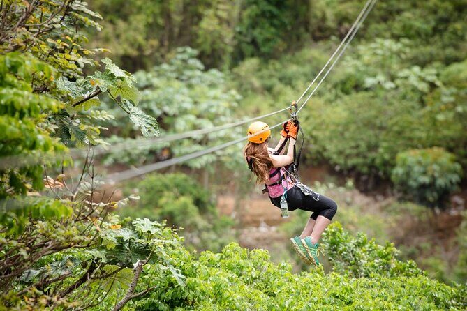 Zipline Adventure Tour - ToroVerde Zipline: Eight Runs Above the Trees Near San Juan