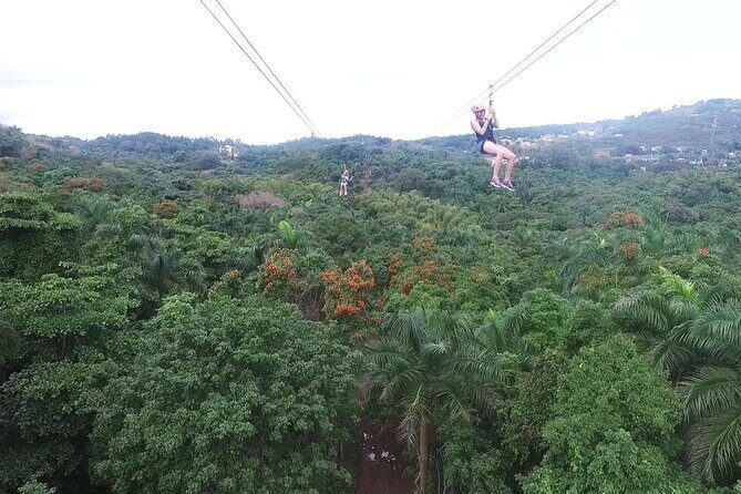 Zipline Canopy Tour with Transport from San Juan - Quick hit key points (what matters most)