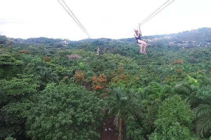 Zipline Canopy Tour with Transport from San Juan - Who this tour suits best (and who should skip it)