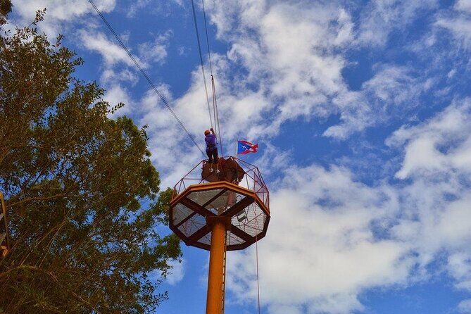 Zipline Canopy Tour with Transport from San Juan - Value check: why $185 can make sense here