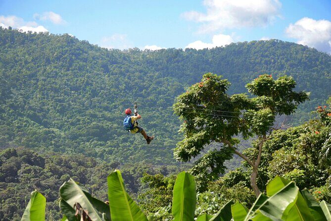 Ziplining at the Rainforest in Puerto Rico - Key things to know before you go