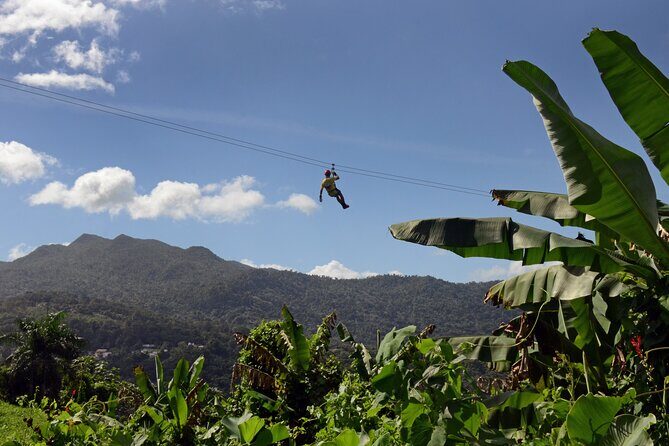 Ziplining at the Rainforest in Puerto Rico - Between stations is the real fitness test (uneven, rooty, rocky)