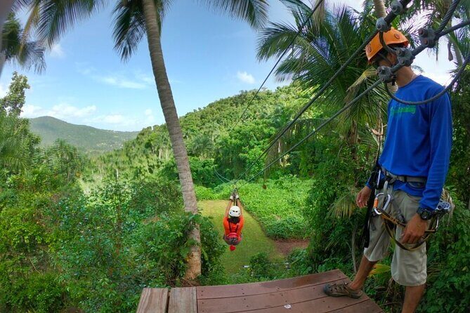 Ziplining at the Rainforest in Puerto Rico - Safety and guides: the tour’s quality shows in how it’s run