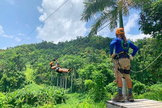 Ziplining at the Rainforest in Puerto Rico - Timing: AM vs PM sessions, and how to build the rest of your day