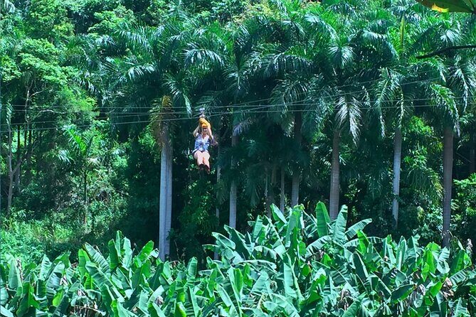 Ziplining at the Rainforest in Puerto Rico - Who should book this rainforest zipline (and who should reconsider)