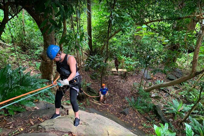 Ziplining at the Rainforest in Puerto Rico - Should you book this tour?