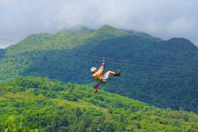Ziplining at the Rainforest in Puerto Rico - Your 2-hour sequence: ziplines, rappel, canopy bridge, and a short nature lesson
